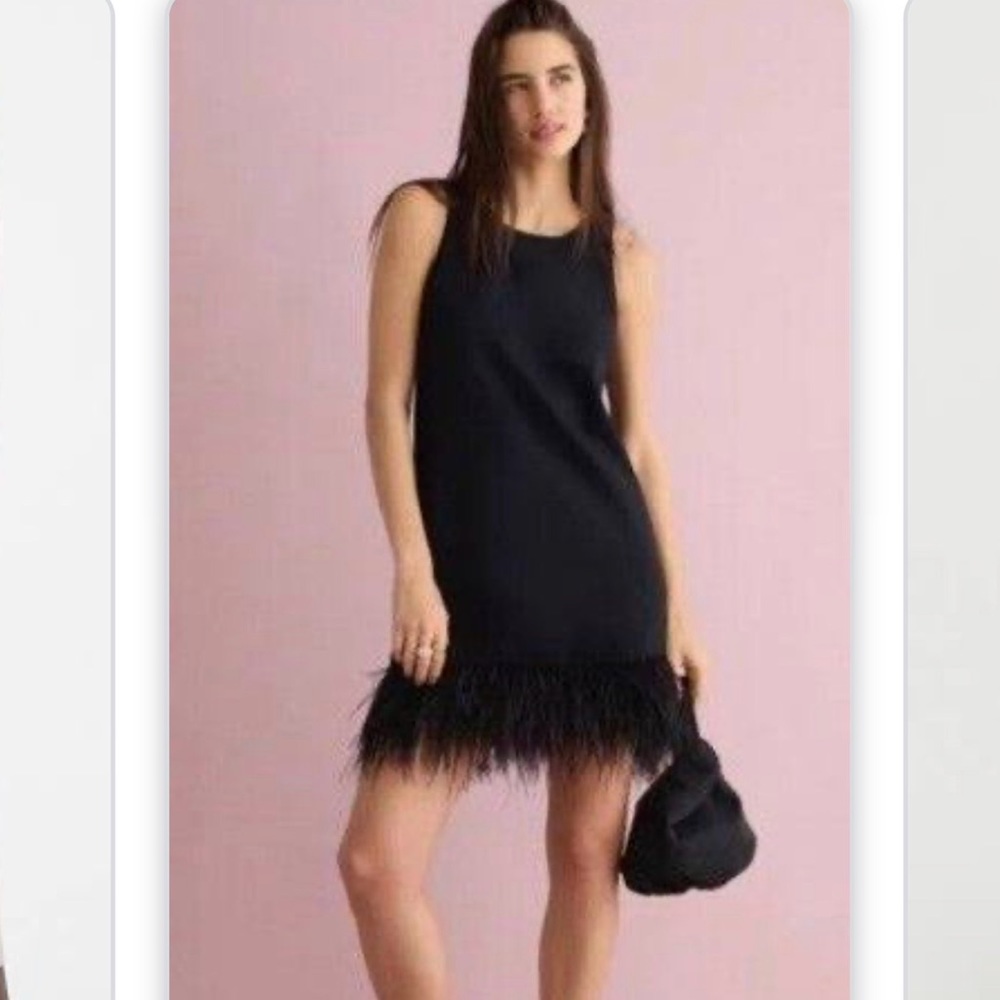 JCREW CREPE FEATHER TRIM SHIFT DRESS SZ SMALL NWT